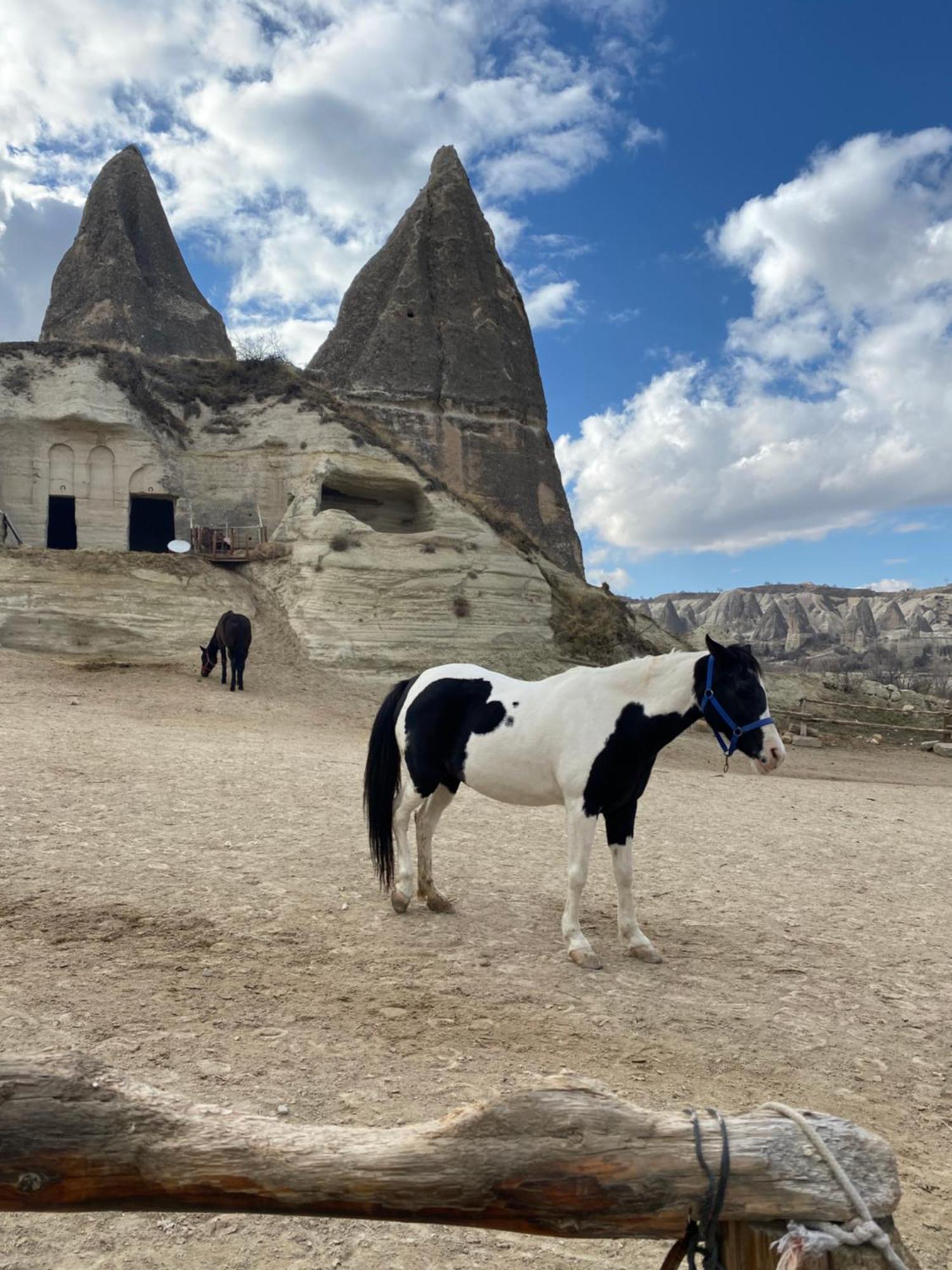 Sinasos Evleri Hotell Nevsehir Eksteriør bilde